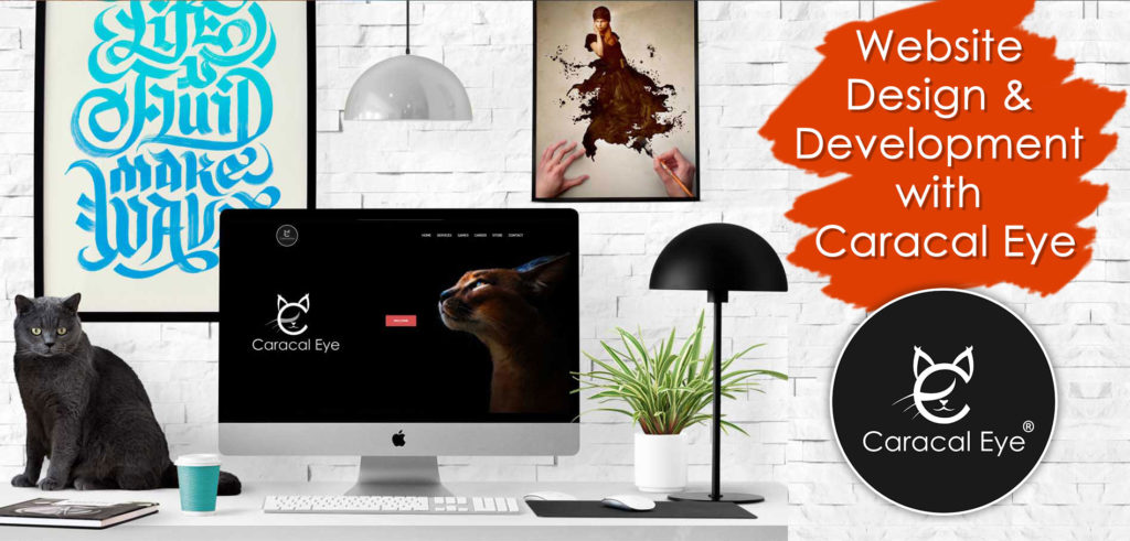 Website Design & Development with Caracal Eye