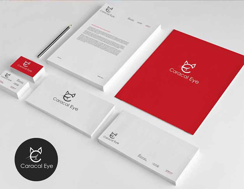 IDENTITY & COLLATERAL DESIGN_CaracalEye