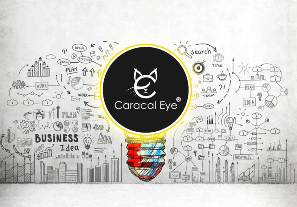 CaracalEye waiting – Universe Investing in INDIA