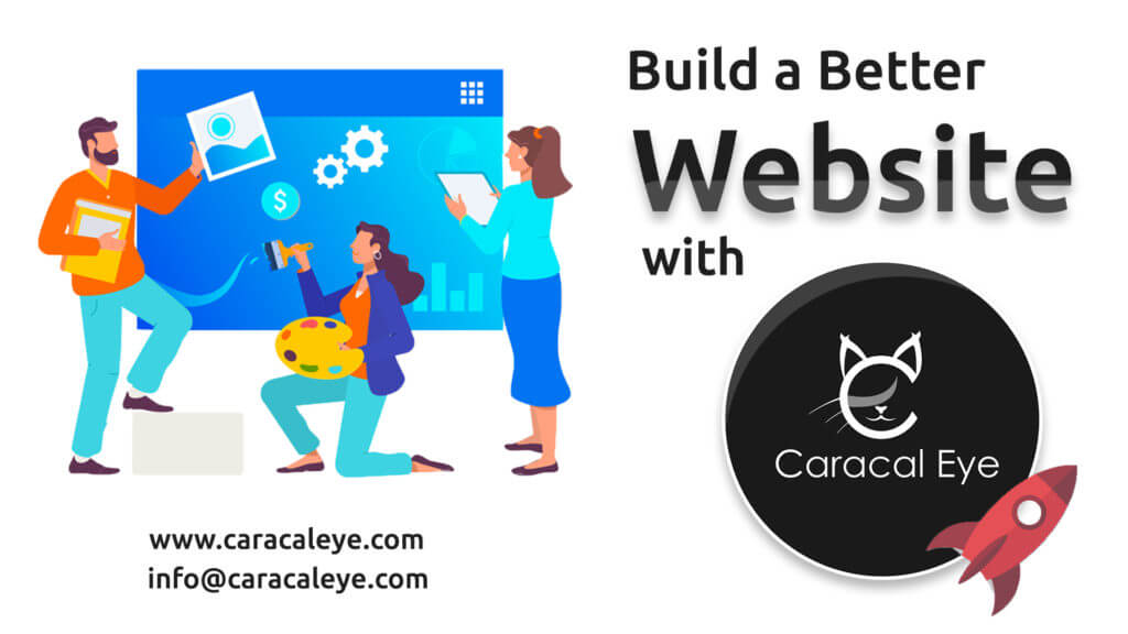 Build a Better Website with CaracalEye®