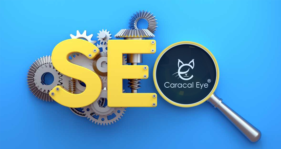 Boost Your Online Presence with CaracalEye: The Best SEO Company in the World