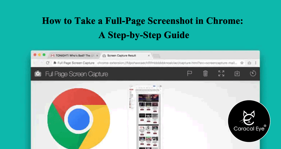 Screenshot in Chrome