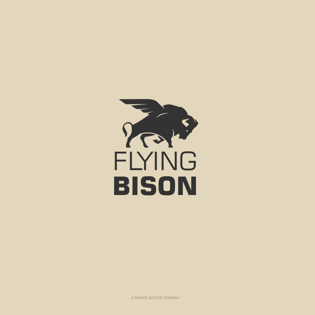 Logo Design CaracalEye