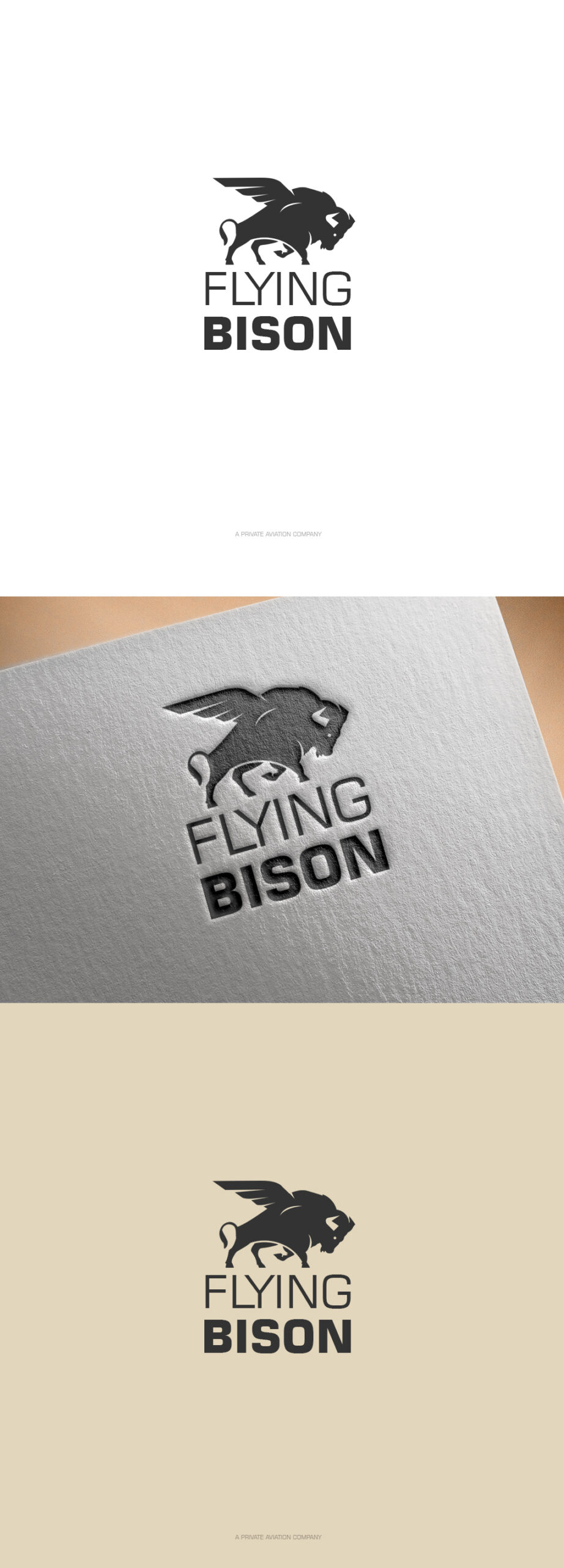 Flying Bison Logo & Brand Identity Design by Utkarsh Bhatt (UKB) | CaracalEye® | Private Aviation Company Branding 1 Logo Design CaracalEye